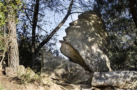 El Bosque Encantado de Orrius